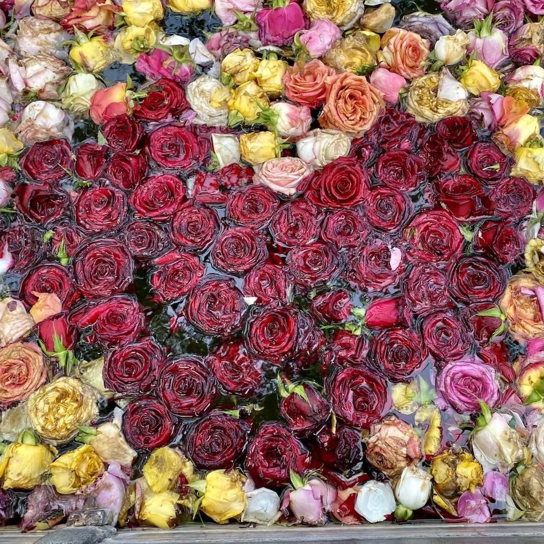 Kreatives Schreiben in der GeschichtenBäckerei GeschichtenBäckerei